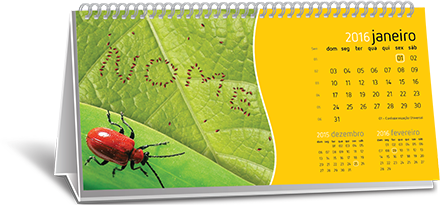 Calendário de Mesa Dados Variáveis Jardim Ângela Calendário de Mesa Dados Variáveis Jardim Ângela